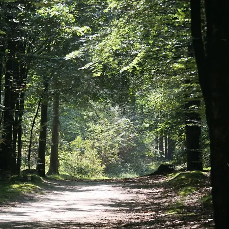 La Veluwe *
