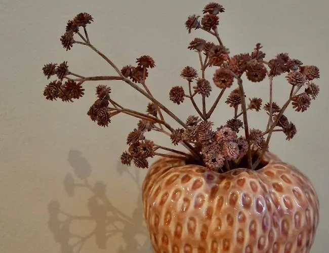 La Veluwe Frühstückspension