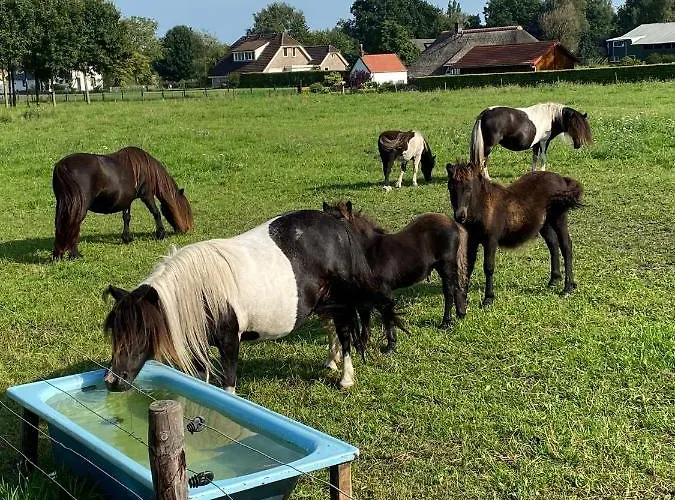 La Veluwe Bed & Breakfast 3*