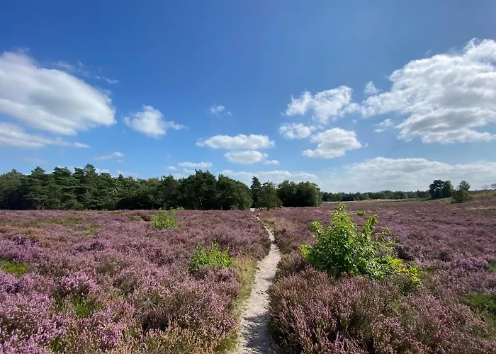 La Veluwe Wapenveld