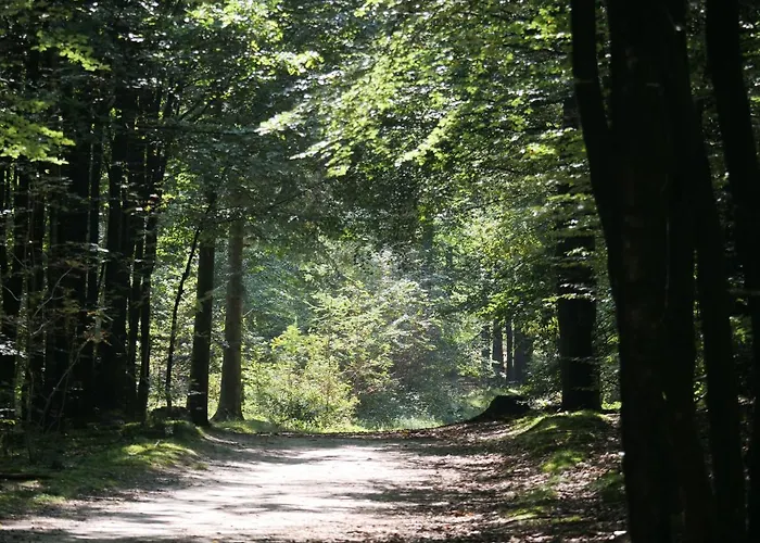 La Veluwe 3*
