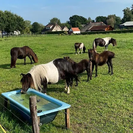 La Veluwe فندق مبيت وإفطار 3*